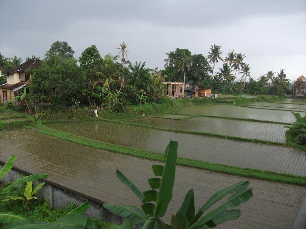 Suwar Bungalows Ubud Kültér fotó